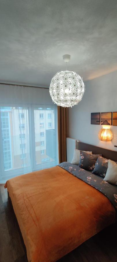 Appartement Zebra à Wrocław Extérieur photo